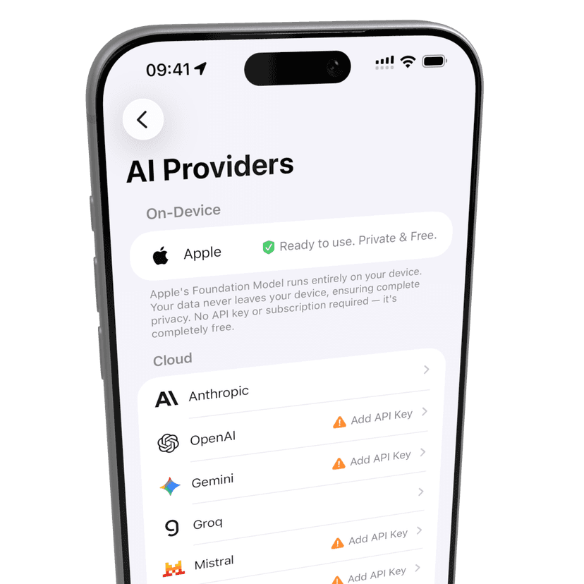 VivaDicta AI Providers