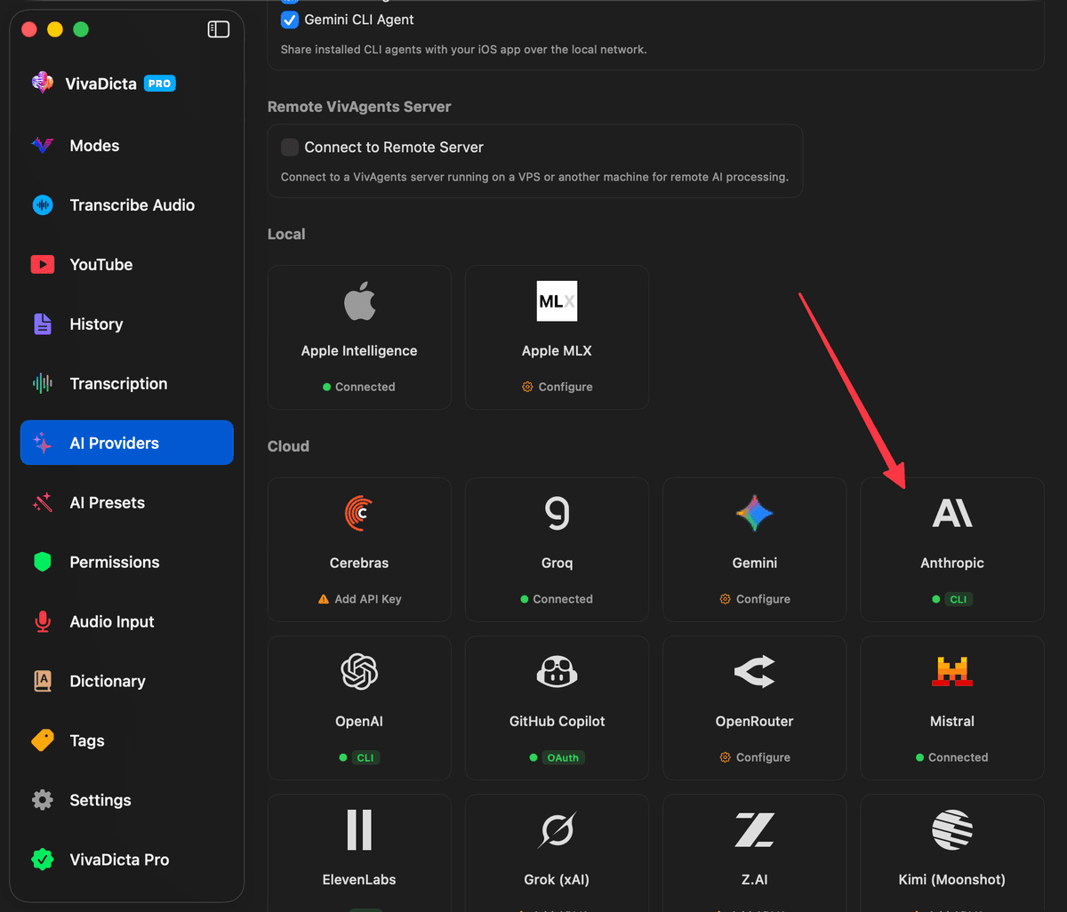 AI Providers grid with Anthropic card showing CLI badge