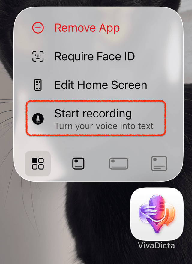 VivaDicta quick actions menu on home screen