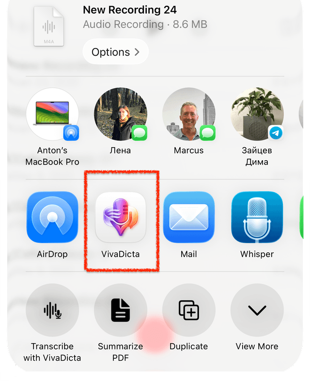 Share Sheet with VivaDicta selected