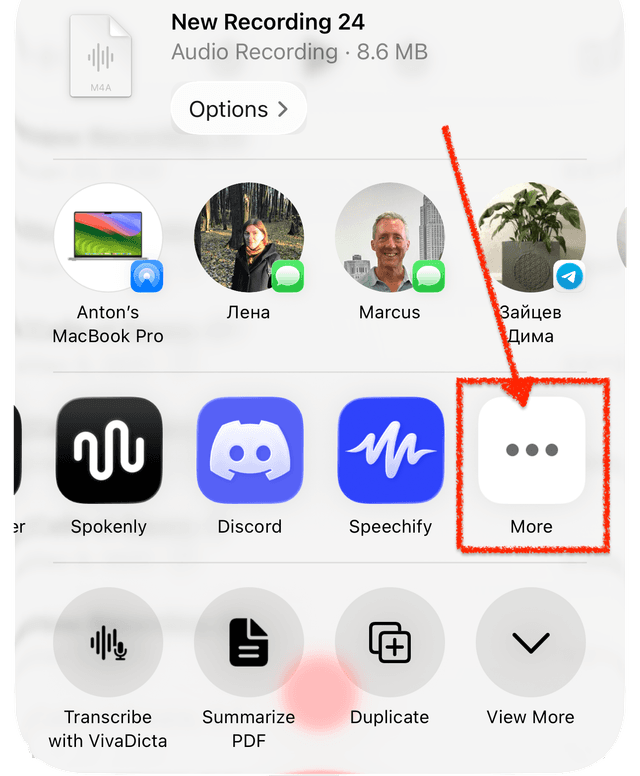 Tap More in the Share Sheet app row