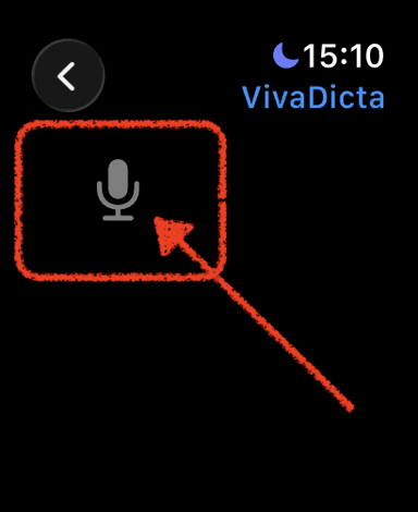 VivaDicta Quick Record control selected